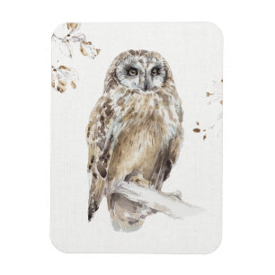 Imán Un paseo VIII del arbolado