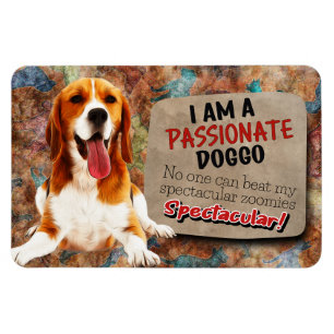 Imán Un pensamiento hilarante de tu Beagle