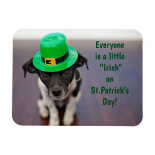 Imán Un pequeño perrito irlandés