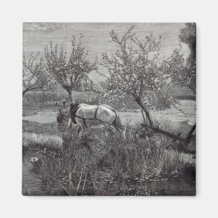 Imán Un pequeño pozo tilled', Picardía de la granja