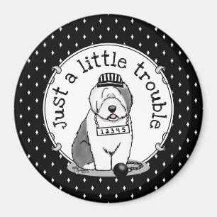 Imán Un pequeño problema: Gris de perro pastor inglés 1