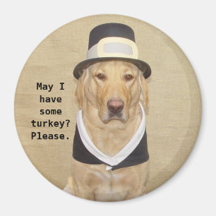 Imán Un peregrino bendecido