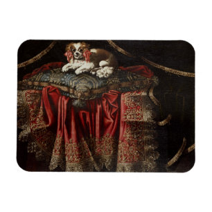 Imán Un perro de aguas asentado en un amortiguador