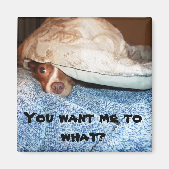 Imán Un perro llamado Mia (Frente)