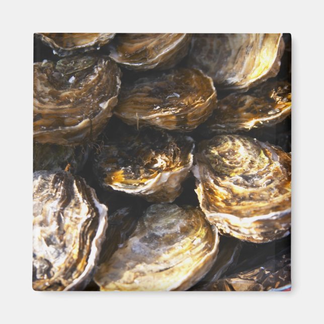 Imán Un plato de ostras. (Frente)