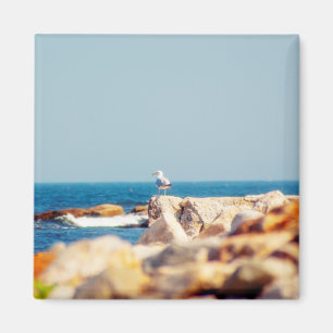 Imán Un post de Gull