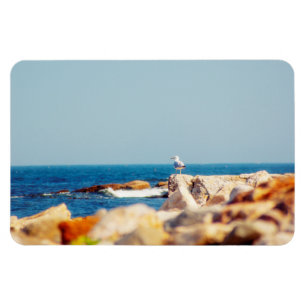 Imán Un post de Gull