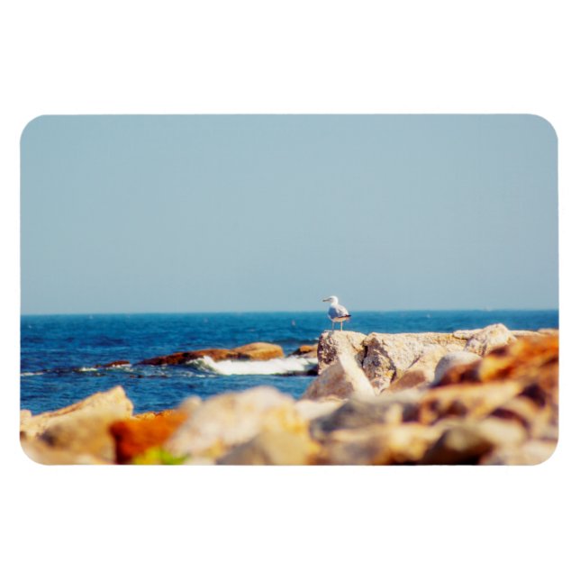 Imán Un post de Gull (Horizontal)