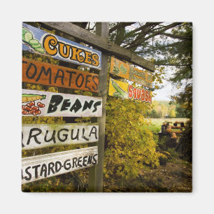 Imán Un puesto en Holderness, New Hampshire.