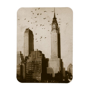 Imán Un rebaño de aves volando