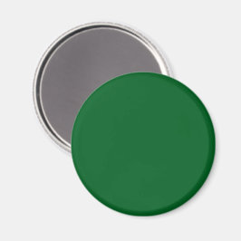Imán Un rectángulo verde sólido con un color uniforme