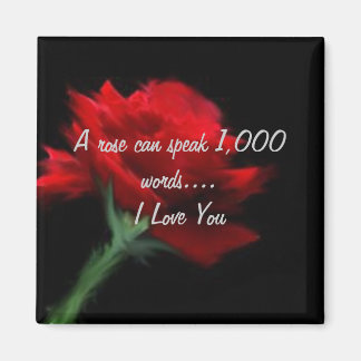 Imán Un Rosa puede hablar 1000 palabras