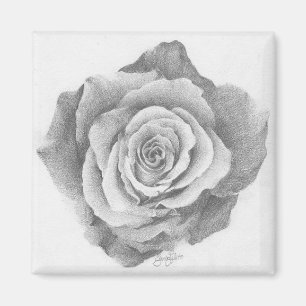 Imán Un simple Rosa