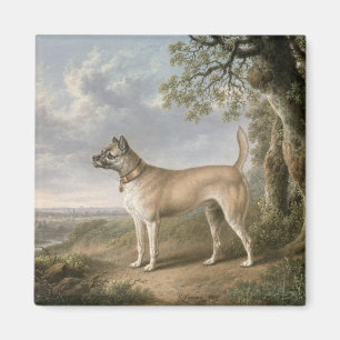 Imán Un Terrier en un sendero en un paisaje arbolado