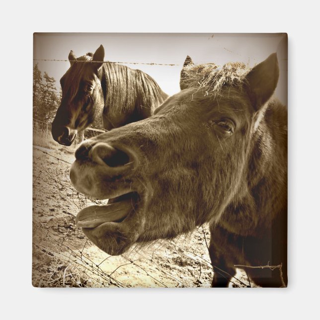 Imán Un verdadero amigo (Frente)