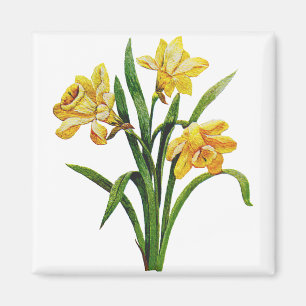Imán Una anfitriona dorada de los Daffodils bordados