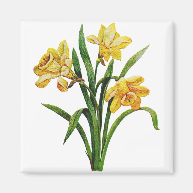 Imán Una anfitriona dorada de los Daffodils bordados (Frente)