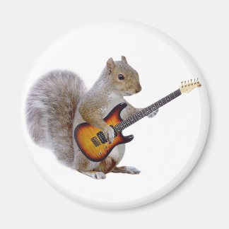 Imán Una ardilla tocando guitarra