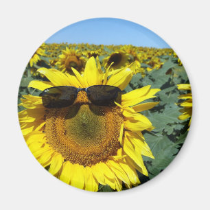 Imán Una cara en la muchedumbre