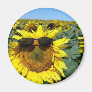 Imán Una cara en la multitud