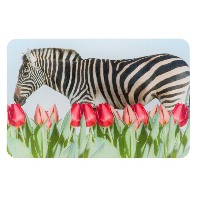 Imán Una cebra entre los tulipanes (Horizontal)