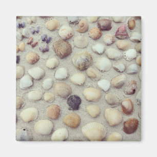 Imán Una colección de Seashells