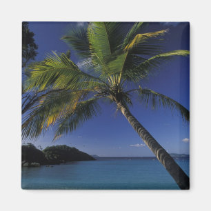 Imán Una de las mejores playas del mundo; Bahía de tro