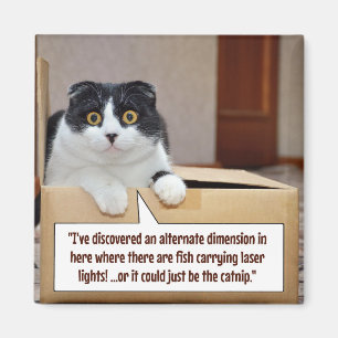 Imán Una dimensión alternativa