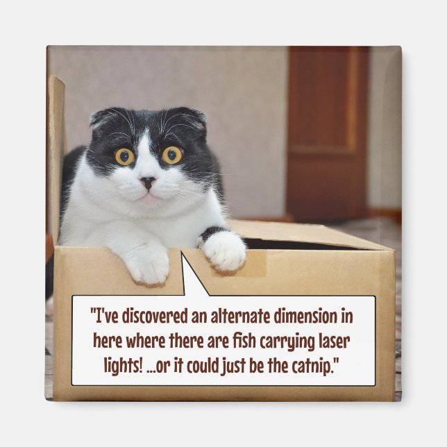 Imán Una dimensión alternativa (Frente)