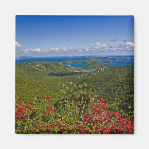 Imán Una escena de Cruse Bay, St. John U.S Virgin