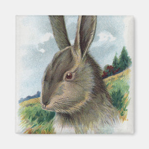Imán Una escena feliz del conejo de EastertideGray