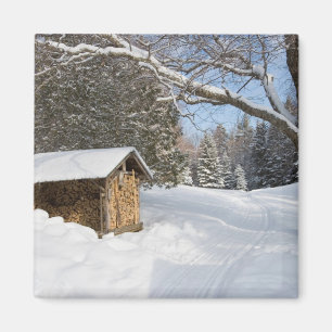 Imán Una escena nevada en el Pequeño Lyford Pond de la 