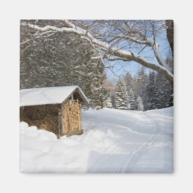 Imán Una escena nevada en el Pequeño Lyford Pond de la  (Frente)