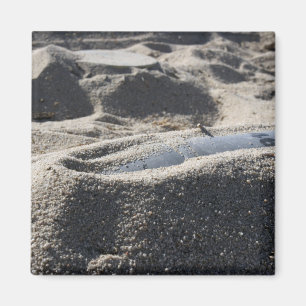 Imán Una exhibición estática de una cáscara de la