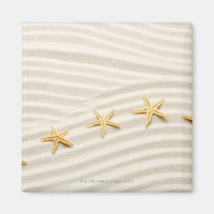 Imán Una fila del unstraight de estrellas de mar