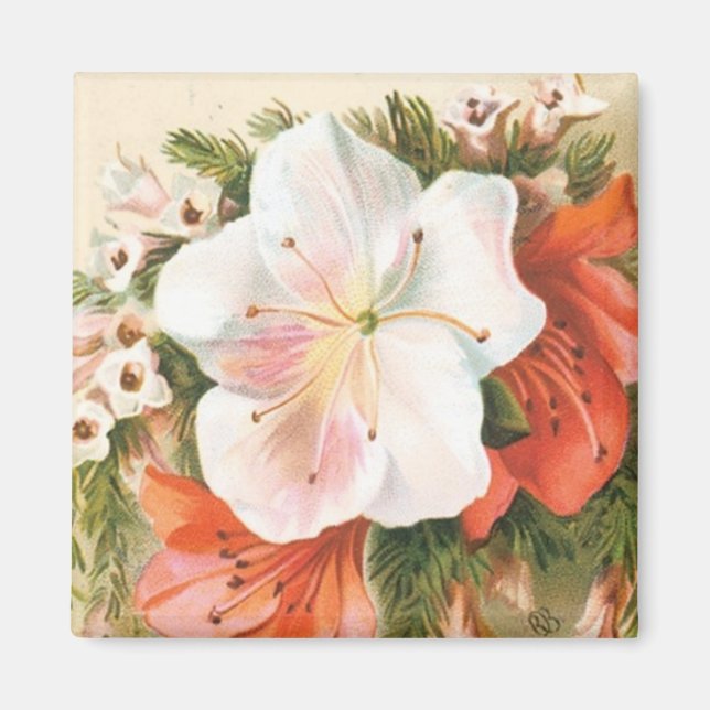 Imán Una flor navideña amarga (Frente)