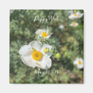 Imán Una floreciente California: Semana de la amapola