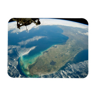 Imán Una Florida Oblíque, En La Costa Sureste