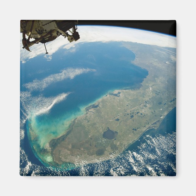 Imán Una Florida Oblíque, En La Costa Sureste (Frente)