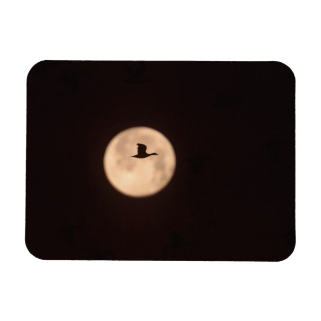 Imán Una Gansa Contra Una Luna Llena | Nuevo México (Horizontal)
