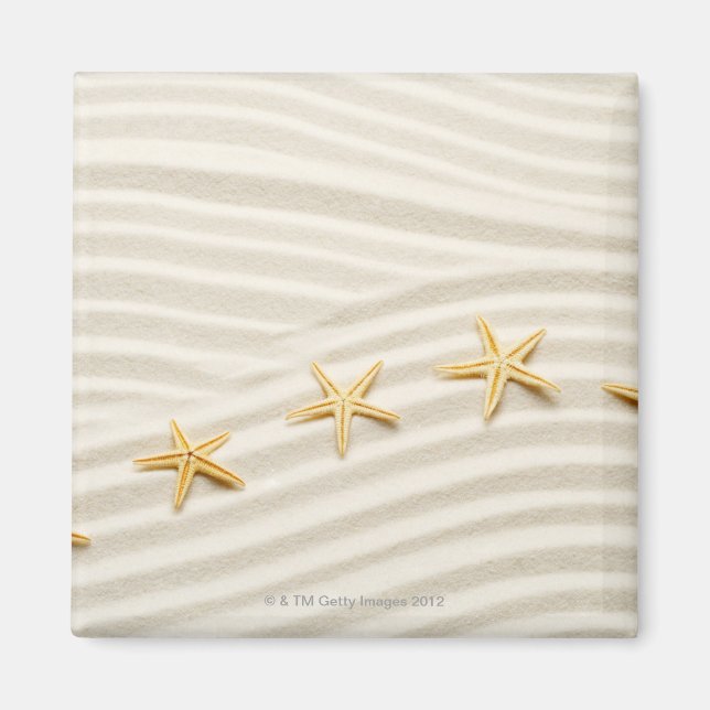 Imán Una hilera de estrellas de mar (Frente)