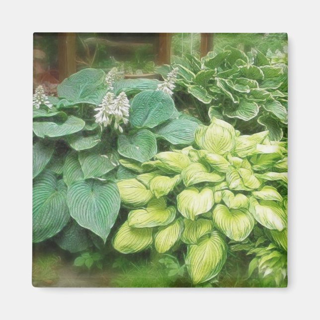 Imán ¡Una Hosta Más! (Frente)