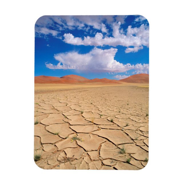 Imán Una llanura desértica agrietada (Vertical)