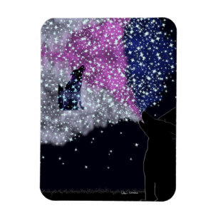 Imán Una noche de verano con Sirius