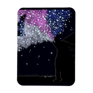 Imán Una noche de verano con Sirius