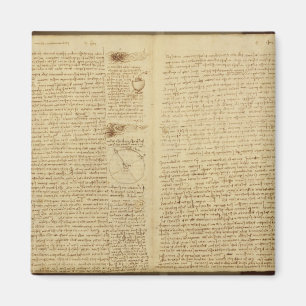Imán Una página del códice Leicester, 1508-12