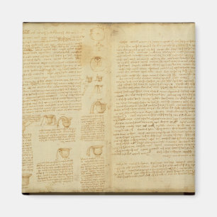 Imán Una página del códice Leicester, 1508-12