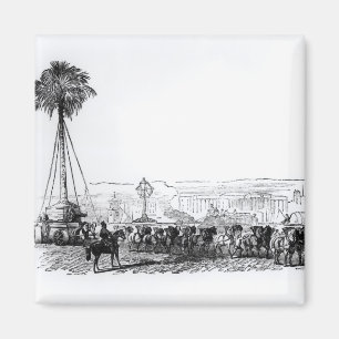 Imán Una palmera que es transportada a Hyde Park para