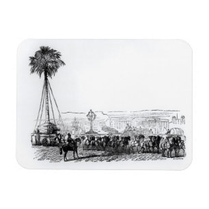 Imán Una palmera que es transportada a Hyde Park para