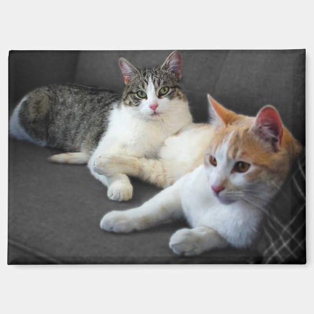 Imán Una pareja de gitanos (Anverso)